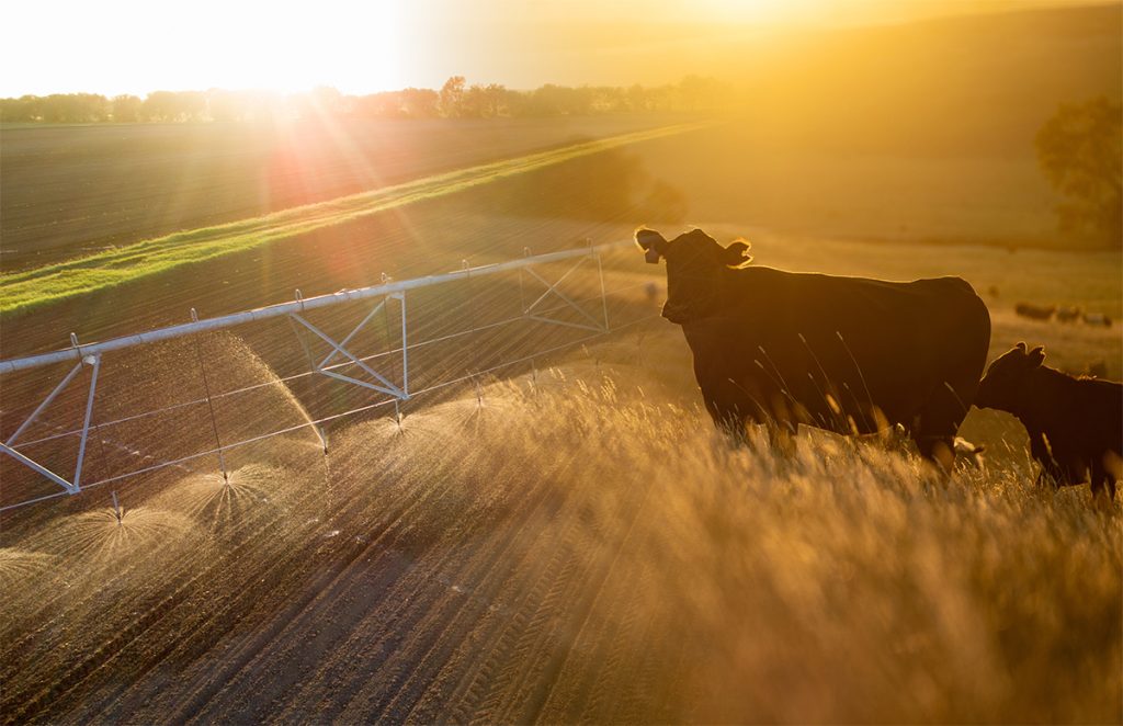 Agricultural